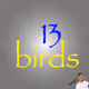 13birds