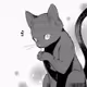 SillyCat