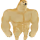 wennnoon
