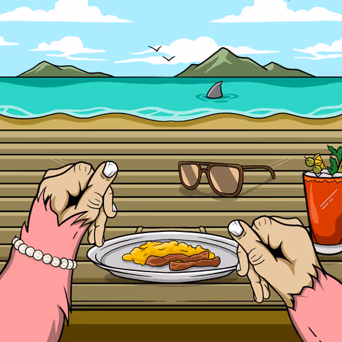 OpenSea banner for @CAMshaft