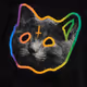 pagic