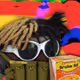 nbayoungboyfan