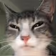 0x8f03254b1bd2812c3085ef4612d10bddb3985ee0