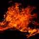 Dynamo-Fire