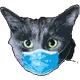 GetMadMaddie