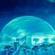 JCyber77