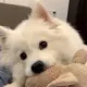 regdfggsdfgjhgm