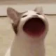 Meowtaverse-Cat
