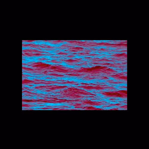 OpenSea profile picture for @wetter