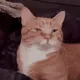 0-