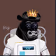 bonicrypto