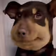 Booparoo