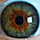 ElevenEye