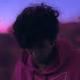 Chestterx