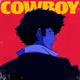 cowboy0607