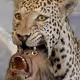 JaguarSpirit