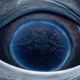 RetinalTrouble14