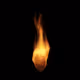 l_burns