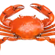 CASHCRAB