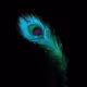 voicechange