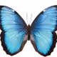 0x903c9cbd714474b523dfde11c895a9c1818e4325