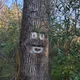 TummyLice