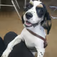 CalvinHome