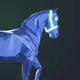 PRO_Stables_Sales