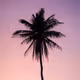 0x9081086e54ee7ae30a98958e595ed10136218468