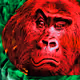 GorillaCramp