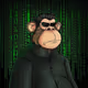 0x90a27adc5902b1c0e0df91e9673625d83eeb78ea