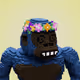 NFTguy27