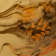 ShellL2