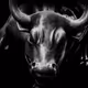 Bullgetone