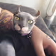 thecatpapa