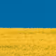 LukiIvan