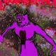 lynk_