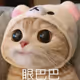 PINGONE