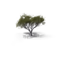 thebigimpulse