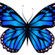 0x90ec934e2a7da2b9707c3f5b8fa0f0307c196b60