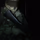 0x9108366a1333e6170d788358b5f99880dd02b3f7