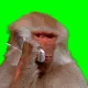 ApeFord