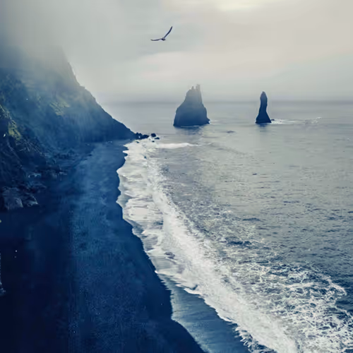 OpenSea banner for @MBO