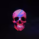 Bobby_Rez