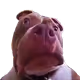 Fatnstinky