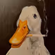vyker