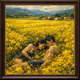 Intimacy_of_Nearness_Reserve