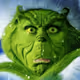 thegrinch051