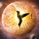 Galaxy__