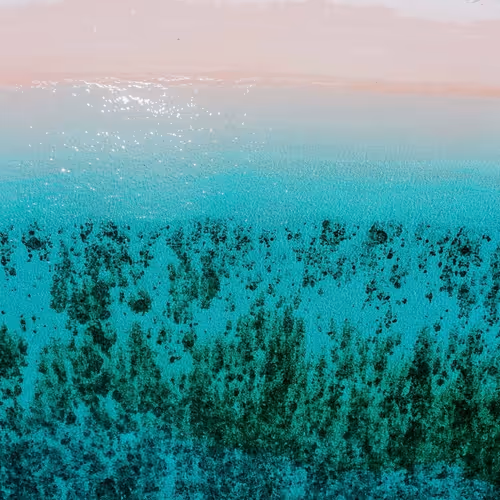 OpenSea banner for @unicorn